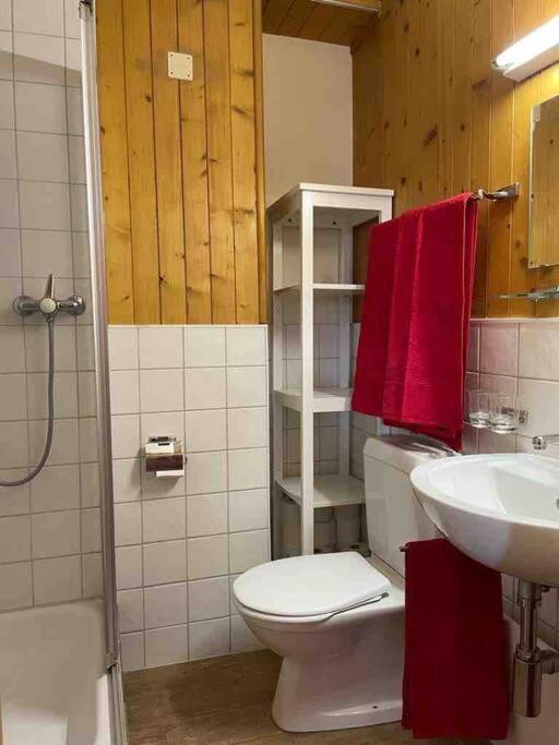 Charmant 2,5 Pieces Avec Jardin A 2 Pas Du Lac Champex-Lac Ngoại thất bức ảnh